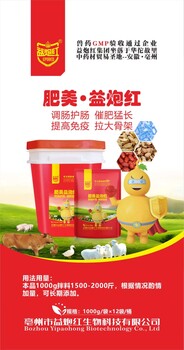 想讓豬催肥猛長(zhǎng)就用–肥美益炮紅