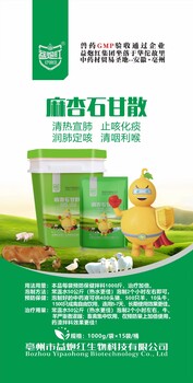 益炮紅｜麻杏石甘散–咳嗽喘氣就用它