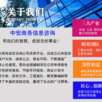 綿陽(yáng)可行性研究報(bào)告代寫文檔創(chuàng)作