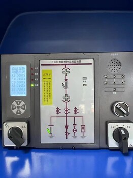 开县SWP-TC-C803计数仪表高清图