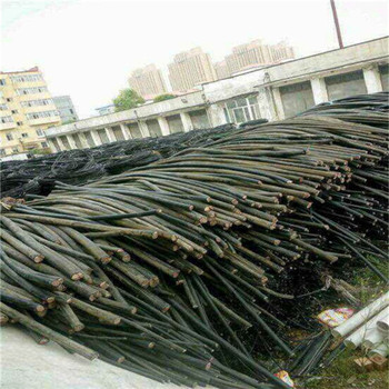 電機(jī)電纜回收當(dāng)?shù)貧g迎合作電話績(jī)溪回收廢舊電纜