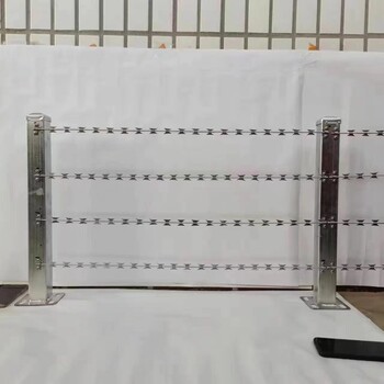 西安熱鍍鋅刀片刺繩圍墻防盜蛇腹型刺釘不銹鋼滾籠學校防攀爬護網(wǎng)