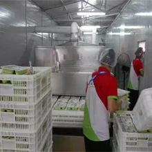 盒飯微波加熱機(jī)新技術(shù)