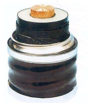 馬鞍山金家莊低壓電纜線回收聯(lián)系電話收購可控硅整流柜