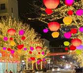 西安led灯串彩灯街道亮化彩灯户外满天星圣诞节防水节日装饰灯
