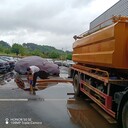 排污排水管道疏通清洗，吸污車吸污清淤，化糞池清掏公司快速上門