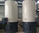 内蒙古60万大卡立式生物质导热油炉-生物质导热油锅炉厂家图片