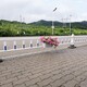 圖片_202307141050292