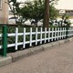 圖片_202307141031331