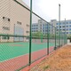 圖片_20240613123449