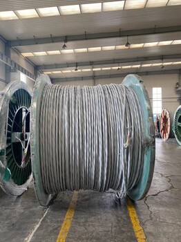 濟南出口加拿大CSA認證電纜TCER電纜