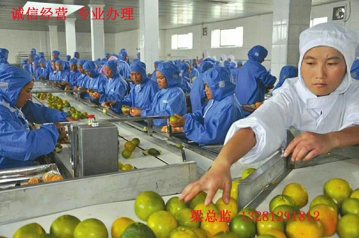梧州以色列出国劳务新消息湘菜鲁菜厨师安全有保障2024新+排名一览