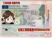 福建莆田出國勞務(wù)派遣德國汽車維修工有無技術(shù)均有招