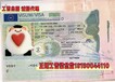 廣東梅州正規(guī)出國勞務(wù)中介制衣廠水產(chǎn)加工誠招代理返利豐厚