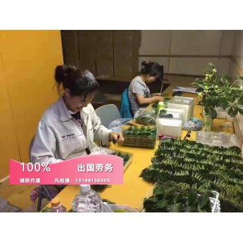 芜湖出国打工热门国家工签厨师司机年薪30万+