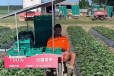 毕节地区劳务出国网厨师保姆月薪3.5万包食宿