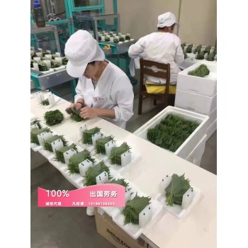 南京公正的出国劳务公司农场搬运工年薪40万