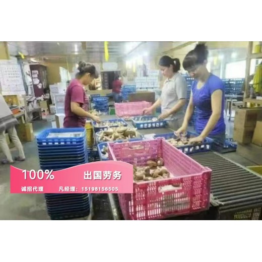武威出国劳务派遣公司排名华人中餐找服务员洗碗工上五休二月结工资
