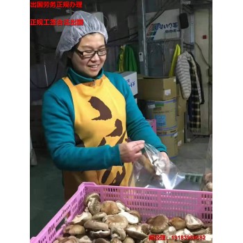 湖南永州出国打工大概多少糕点面食川菜每天工作8小时