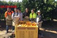 四川自贡出国去新西兰务工保安农场保签项目