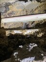 南山地埋壓力管查漏，廠房水管測(cè)漏定位，深圳各種管網(wǎng)漏水搶修