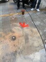長安鎮(zhèn)暗管破損查漏，管道漏水檢漏搶修，東莞消防水管漏水探測