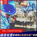 LW250國產(chǎn)臥螺離心機振動堆料整機返廠維修保養(yǎng)