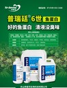 普瑞廷6世魚蛋白有機(jī)水溶肥主力農(nóng)業(yè)發(fā)展市場(chǎng)開拓進(jìn)行中