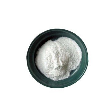 食品級(jí)大米水解蛋白廠家