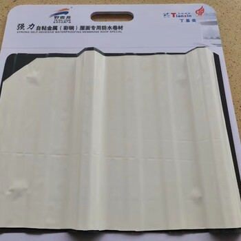 麗水天信丁基氟碳膜耐候自粘防水卷材