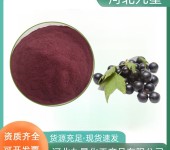 巴西莓粉厂家食品添加剂