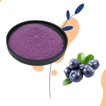 藍(lán)莓果粉廠家食品添加劑