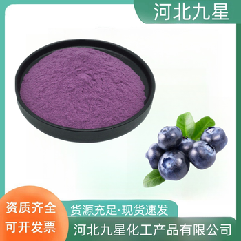 藍(lán)莓果粉廠家食品添加劑