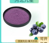 蓝莓果粉厂家食品添加剂