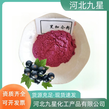 黑加侖粉廠家食品添加劑