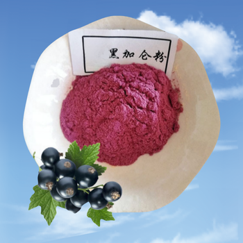 黑加侖粉廠家食品添加劑