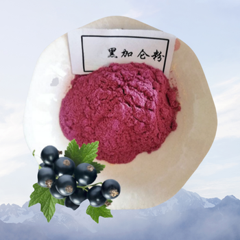 黑加侖粉廠家食品添加劑