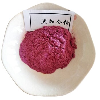 黑加侖粉廠家食品添加劑