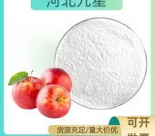 苹果粉厂家食品添加剂