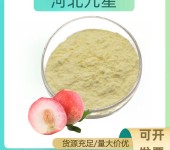 桃子果粉厂家食品级添加剂