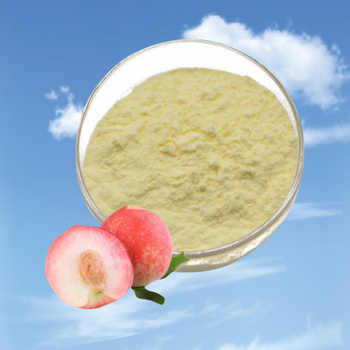 桃子果粉廠家食品級添加劑