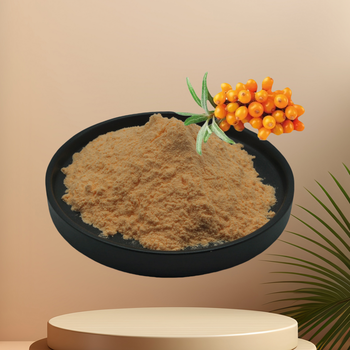 沙棘果粉廠(chǎng)家食品添加劑