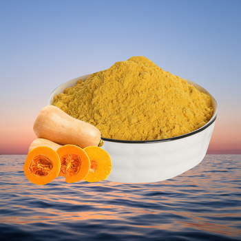 南瓜粉廠家食品添加劑