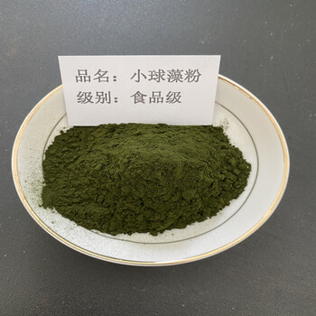 蛋白核小球藻粉廠家食品原料