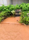 深圳水管道漏水查漏，消防水管道破損維修，球墨暗管道漏水檢測