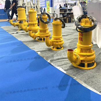 耐磨潛水泥漿泵熱電廠排沙泵