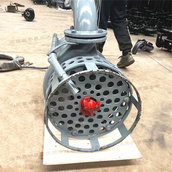 熱電廠粉煤灰泵小功率渣漿泵