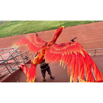 飛天鳳凰表演飛龍?jiān)谔斐鲎庾赓U工廠制作出售