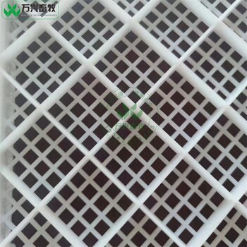 供應(yīng)萬(wàn)興畜牧龍蝦盤(pán)食品冷凍盤(pán)