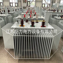 10KV全銅二級能效S20-1250KVA油浸式變壓器江蘇巨力